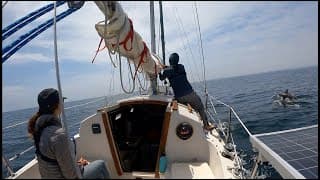 Sailing Paloma