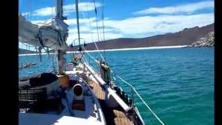 Video 1