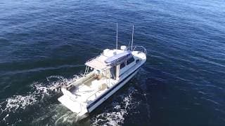 Cojo at the Islands