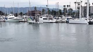 Sport-Craft 36